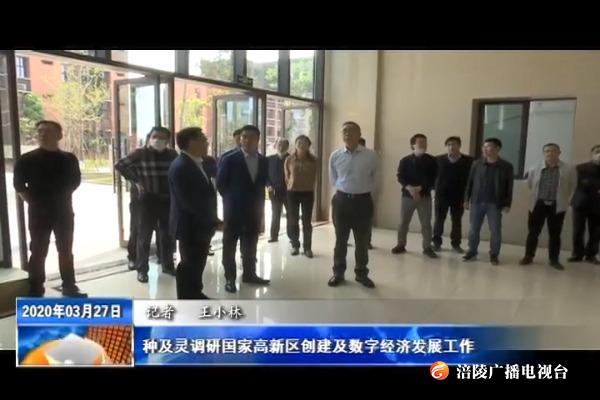 种及灵调研国家高新区创建及数字经济发展工作