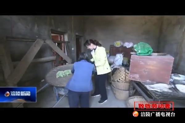 ​【致敬劳动者】张晨榆：建设“村民富 村容美”的新乡村