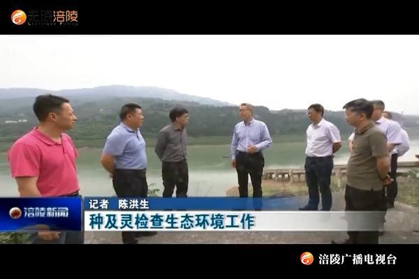 种及灵检查生态环境工作
