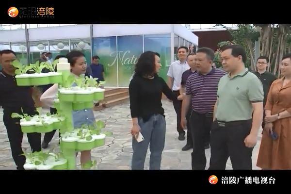 武隆区委副书记王频率队来我区考察