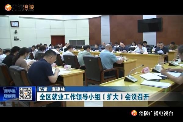 全区就业工作领导小组（扩大）会议召开
