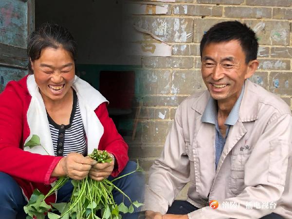 H5 | 昔日贫困户 今朝养猪富