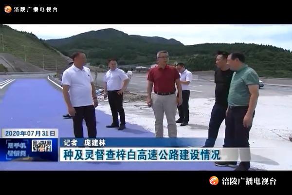种及灵督查梓白高速公路建设情况