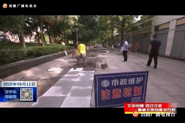 【文明创建 百日攻坚---精神文明创建进行时】我区开展市政设施维护整治