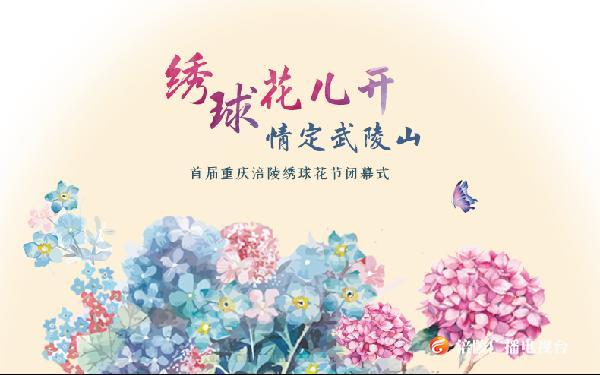 【直播回看】绣球花儿开•情定武陵山首届重庆涪陵绣球花节闭幕式