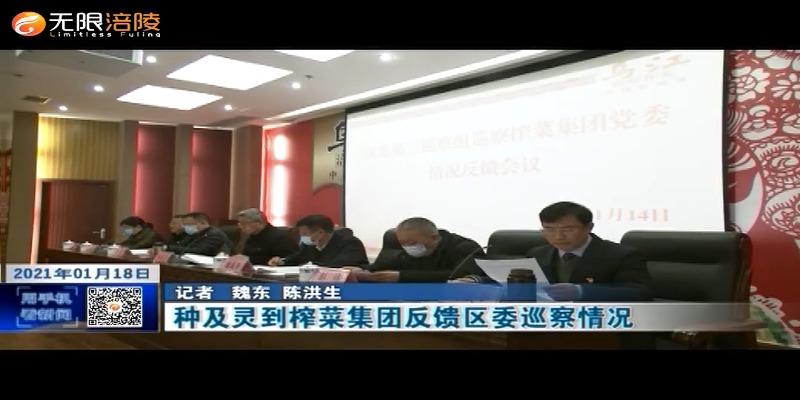 种及灵到榨菜集团反馈区委巡察情况