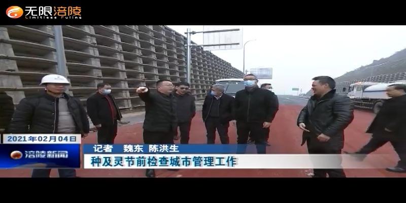 种及灵节前检查城市管理工作