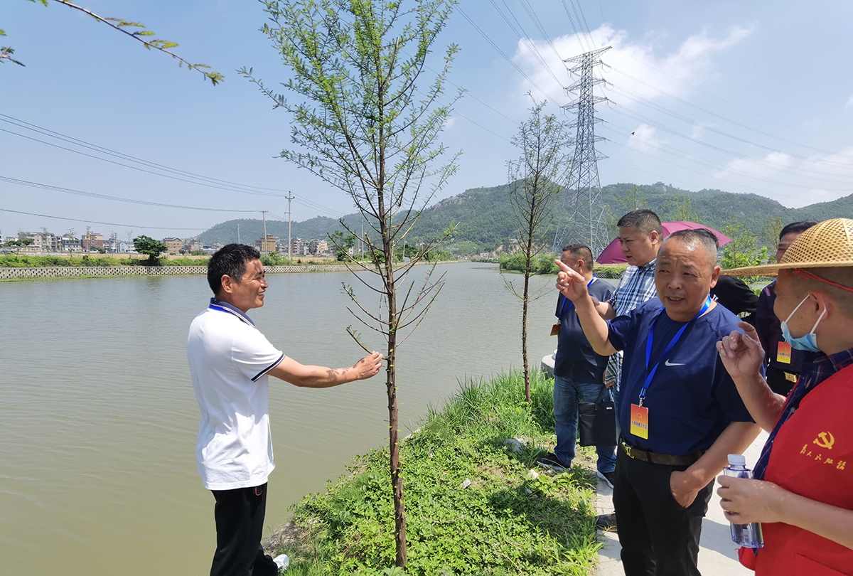 玉城发挥代表作用督察实事落地