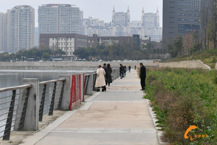 江滩公园 (2)