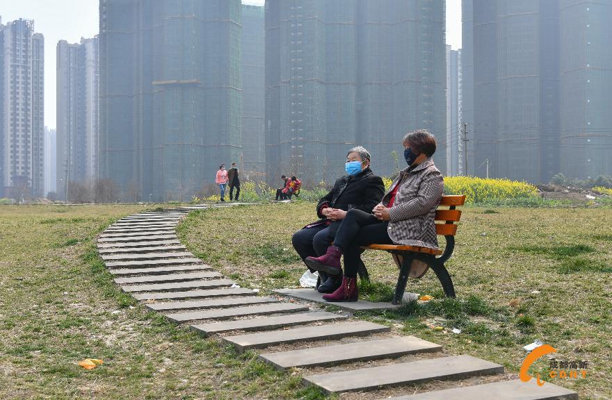 中和街道某临时绿地，市民晒太阳 (2)