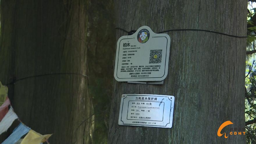 微信图片_20200401085936