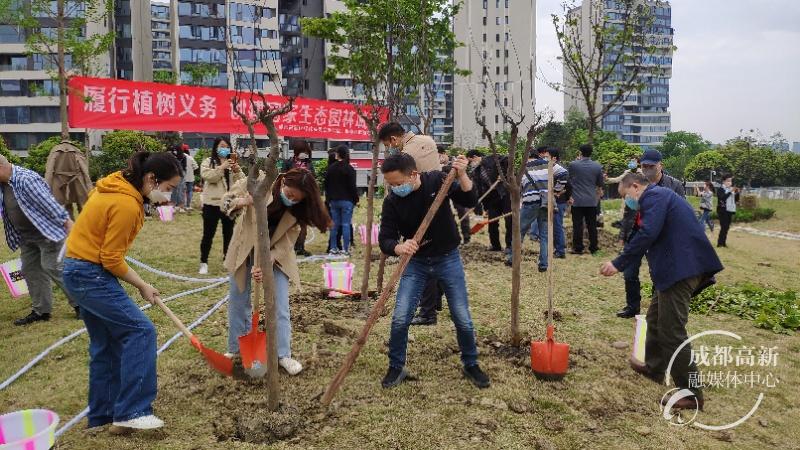 植树