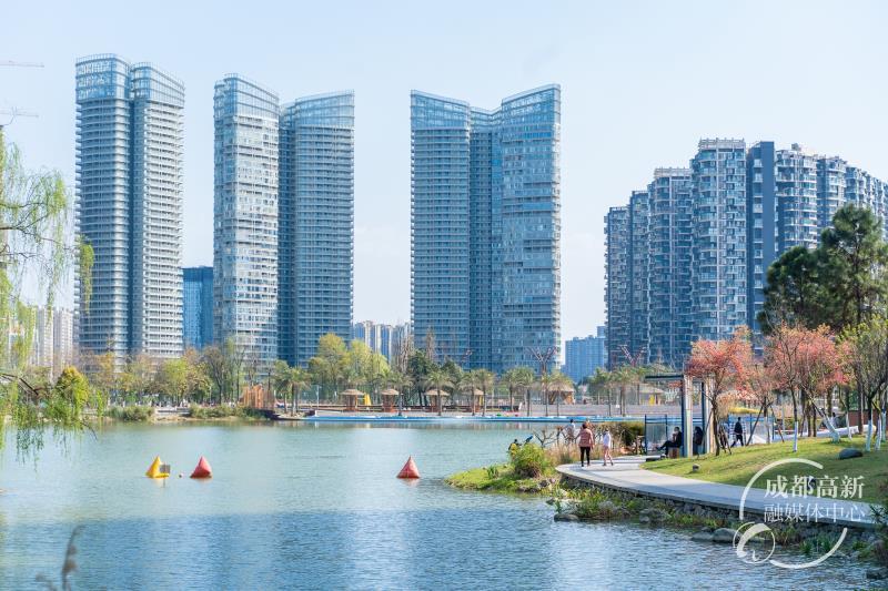 江滩公园3