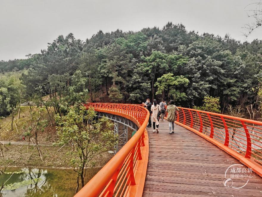 生物城空中飞廊