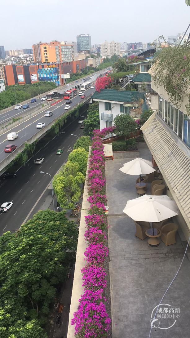 绿化