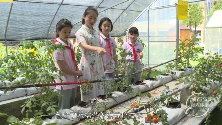 微信图片_20200703151443