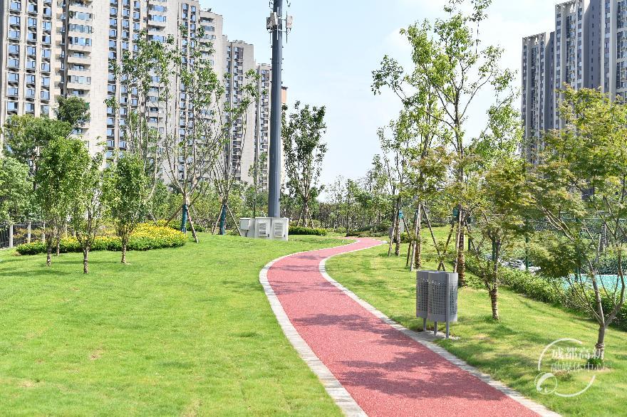天府三街与乐华路交叉口小游园2