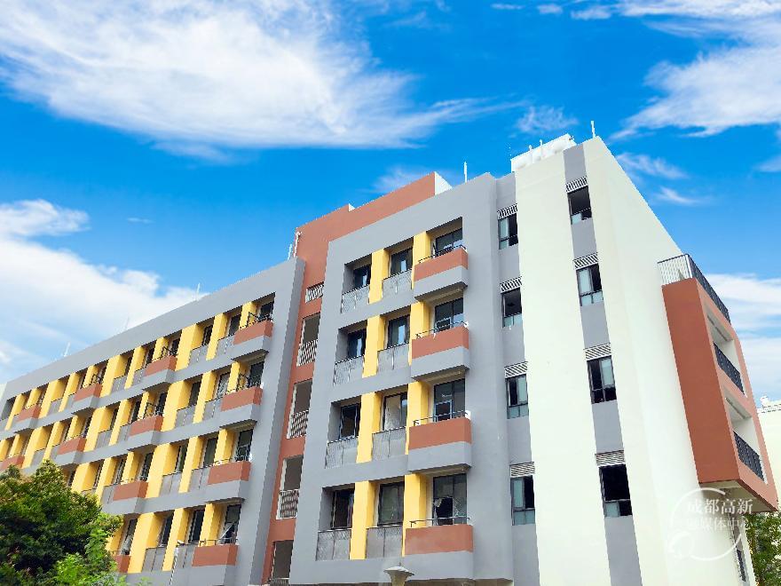 朝阳小学2