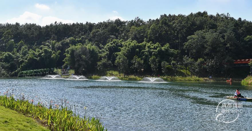 永安湖城市森林公园开园仪式47017