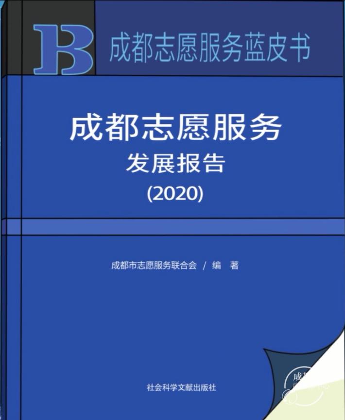 蓝皮书