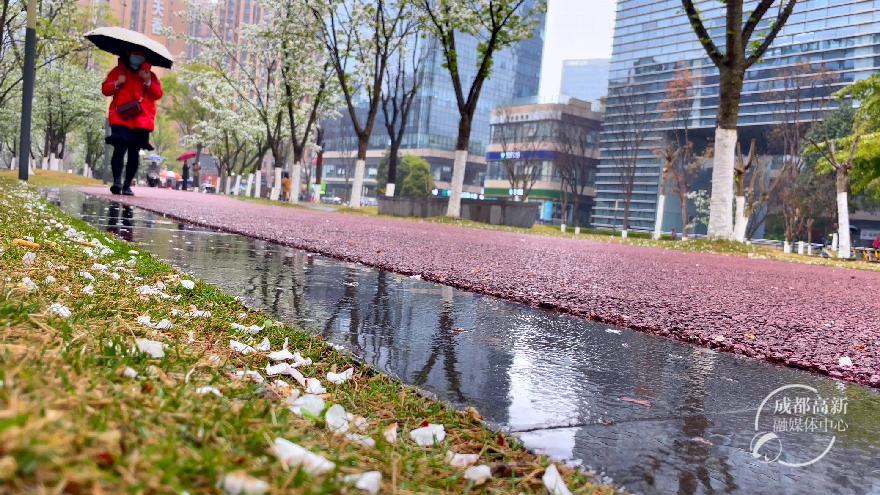 花花