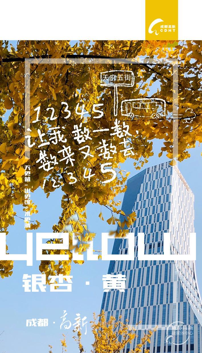 七彩高新4