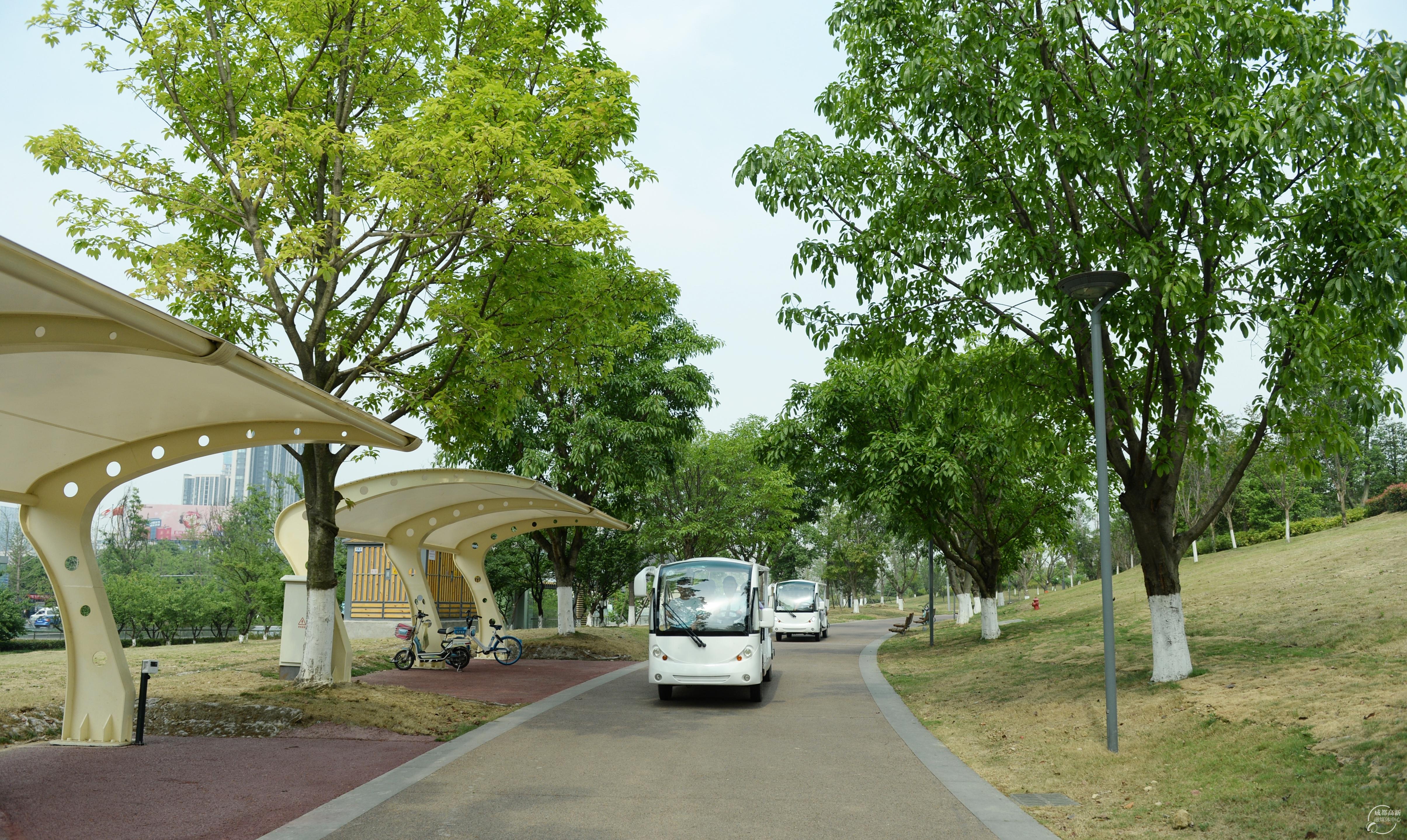 主办的"步步青春·大运我来秀"锦城绿道感知行活动在桂溪生态公园举行