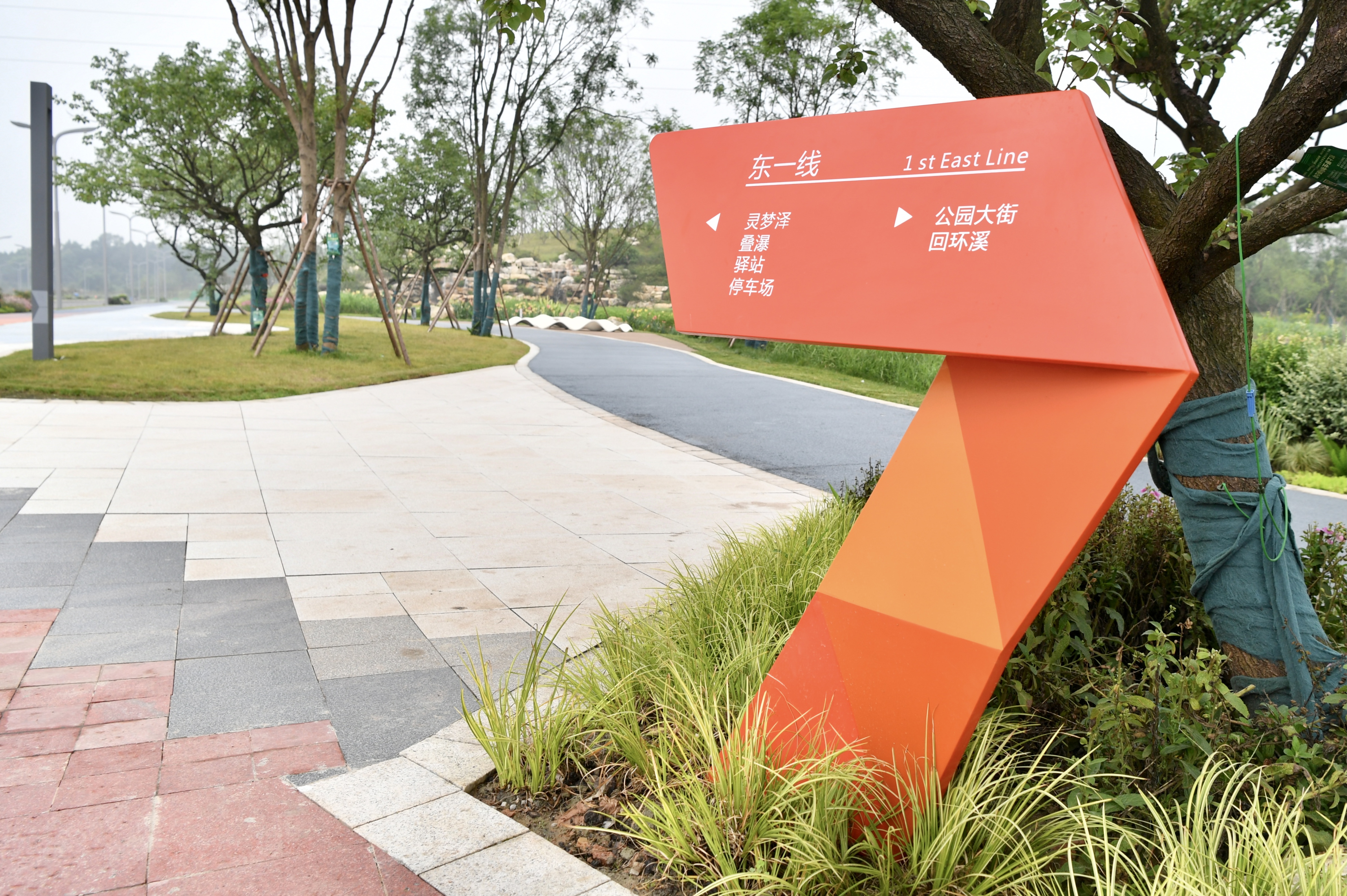 听汇报、看成果、比进度……成都高新区在成都未来科技城开展产业功能区“竞进拉练”活动