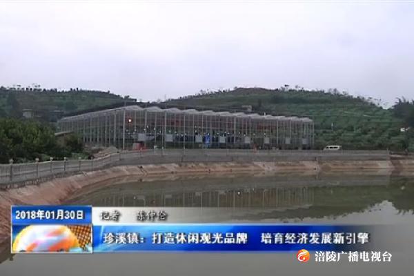 【把党的十九大精神落实在重庆大地上】珍溪镇：打造休闲观光品牌  培育经济新引擎