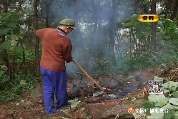 我区召开松材线虫病防控工作会