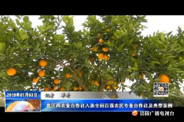 我区两农业合作社入选全国百强农民专业合作社及典型案例