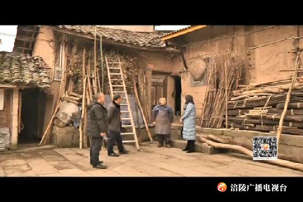 许冬梅：老百姓的事都是大事