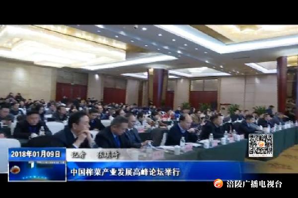 【聚焦首届中国重庆涪陵榨菜博览会】中国榨菜产业发展高峰论坛举行
