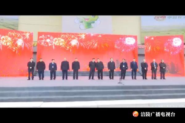 首届中国重庆·涪陵榨菜产业博览会开幕