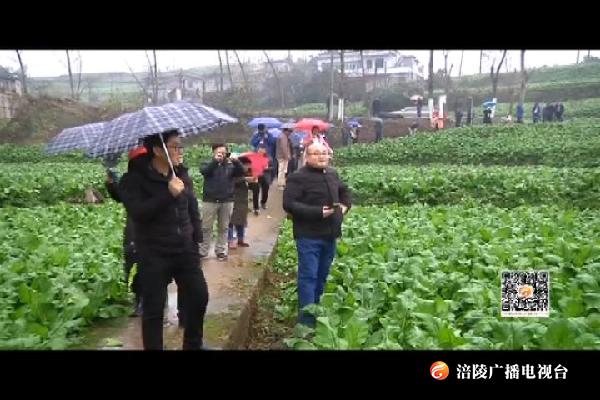 国家特色蔬菜产业专家共商产业发展大计