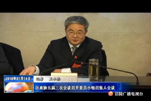 【两会特别报道】区政协五届三次会议召开委员小组召集人会议