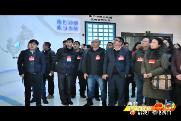 【两会特别报道】区人大代表集中视察我区部分重点项目