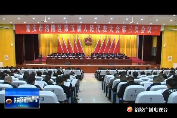 【“两会”特别报道】区五届人大三次会议举行第二次全体会议