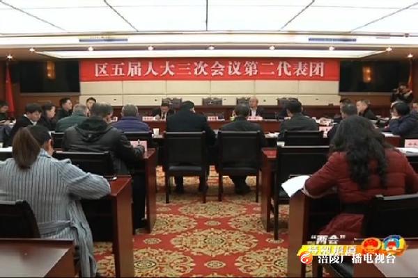 【“两会”特别报道】区领导参加人大分团审议《政府工作报告》