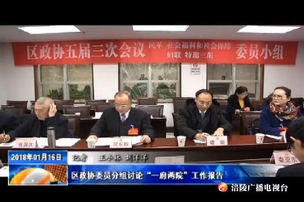 【“两会”特别报道】区政协委员分组讨论“一府两院”工作报告