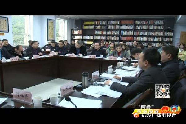 【“两会”特别报道】人大代表分团审议区政府工作报告和计划报告 预算报告