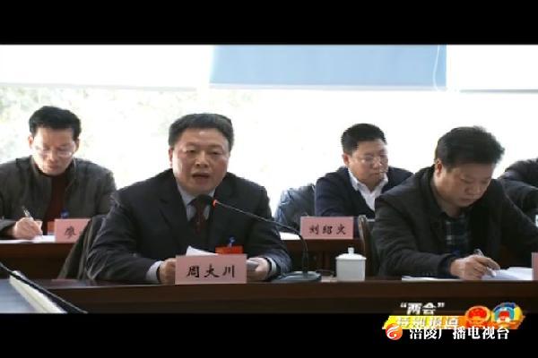 【“两会”特别报道】人大代表继续分团审议《政府工作报告》等6个报告
