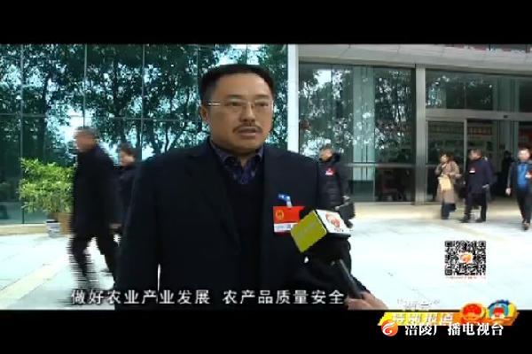 区人大代表：贯彻“两会”精神  建设美丽涪陵幸福涪陵