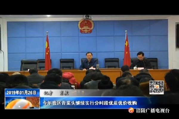 今年我区青菜头继续实行分时段优质优价收购