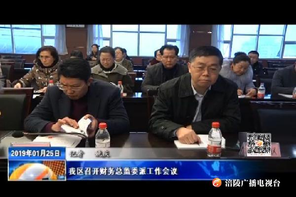 我区召开财务总监委派工作会议