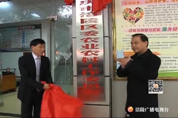 我区一批新组建机构正式挂牌成立