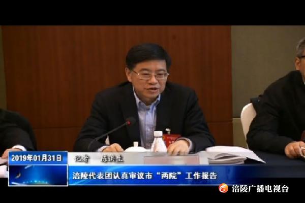 涪陵代表团认真审议市“两院”工作报告