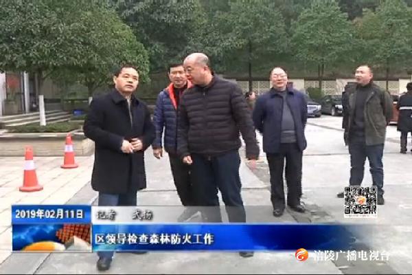 区领导检查森林防火工作