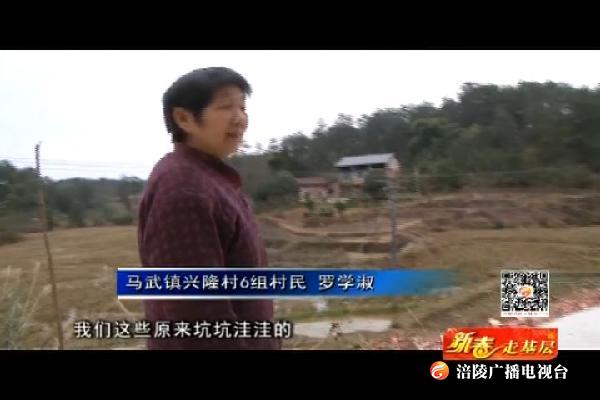 【新春走基层】建好通组路  让美丽乡村充满希望