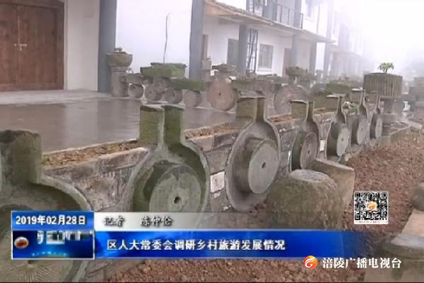 区人大常委会调研乡村旅游发展情况